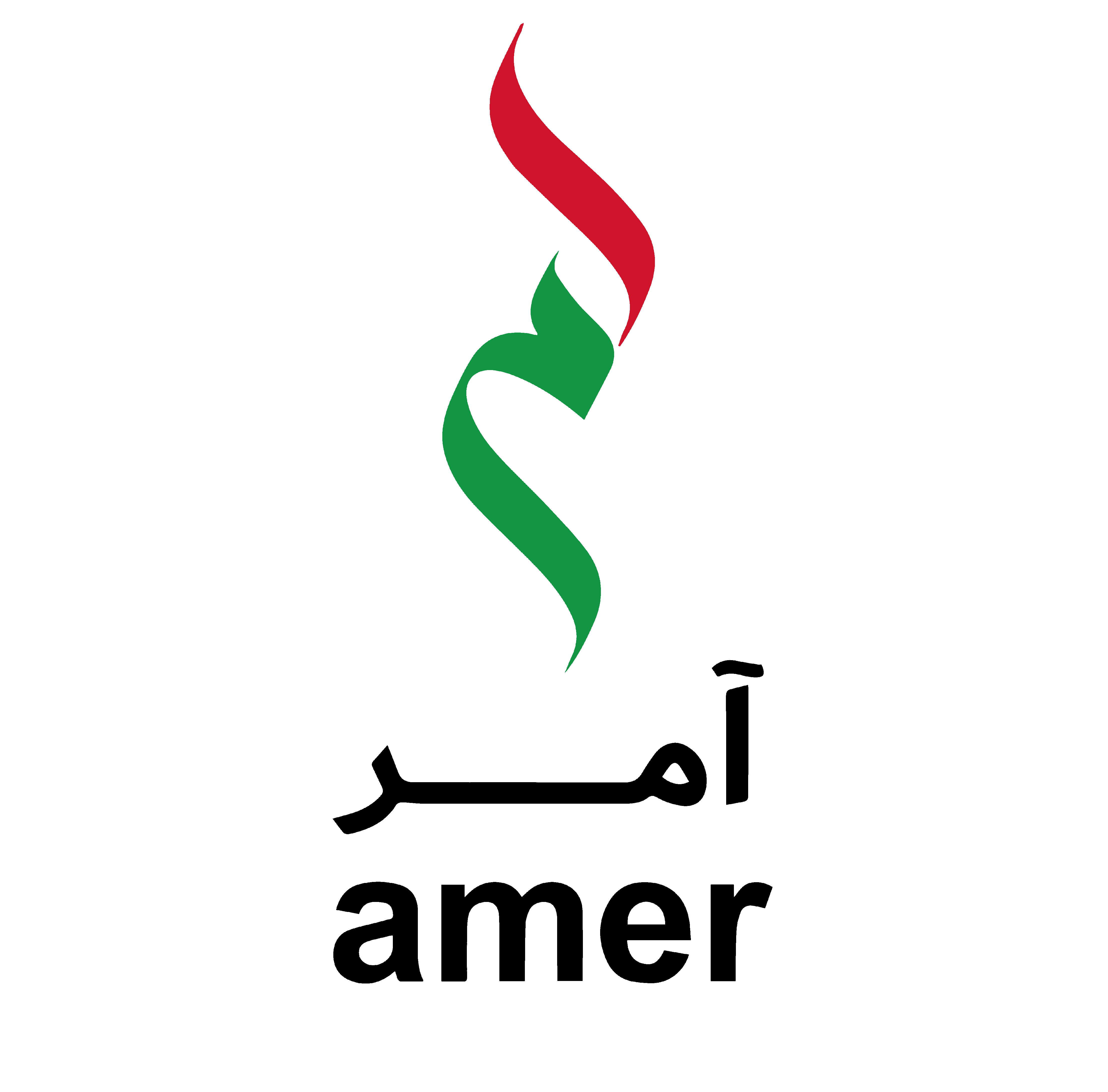 Amer Services